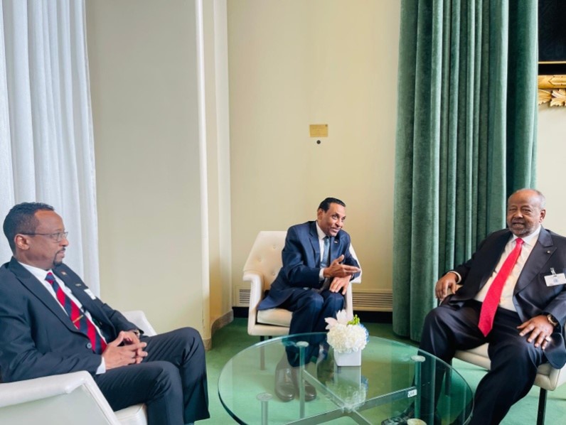 Prime Minister Meets Djibouti President on UN General Assembly Fringes
