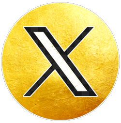 X3